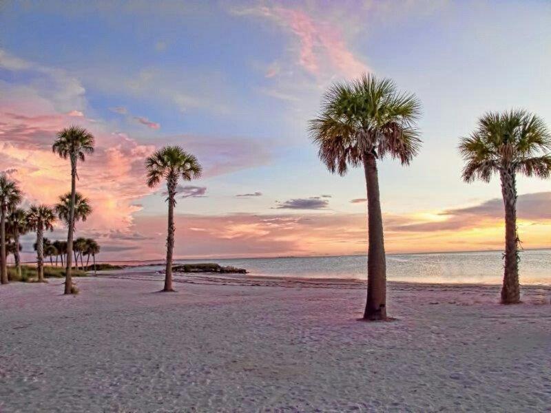 Vila Hibiscus Hideaway Tarpon Springs Exteriér fotografie